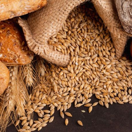 Seed production and packing