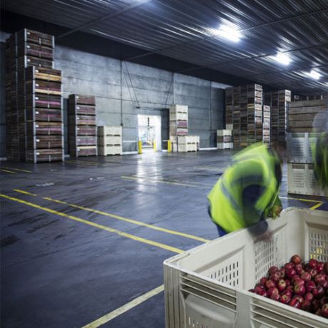 Cold Storage and Refrigeration services